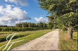 Entre deux Mers: A XIXth-century Carthusian monastery surrounded by its vineyards and grou