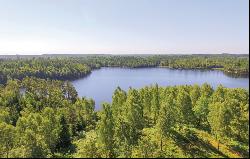 Well-maintained forest property of 75 hectares