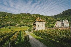 HISTORICAL VINEYARD