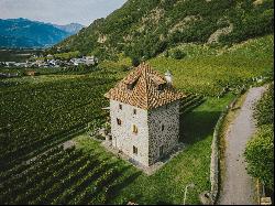 HISTORICAL VINEYARD