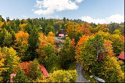 Big Moose Overlook