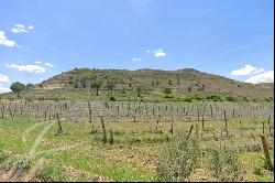 Plots of land for sale: La Alcarria Conquense