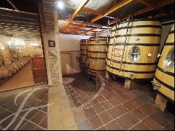 Sale Vineyards and Winery with D.O. : La Alcarria Conquense.