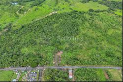 Cañas Premier Investment Land