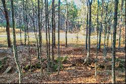 Beautiful 2.95+/- Acre Gentle-Laying Building Lot