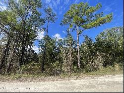 Medicine Stone Drive, Webster FL 33597