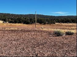 R301672 Box S Ranch Road, Ramah NM 87321