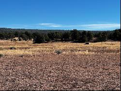 R301672 Box S Ranch Road, Ramah NM 87321