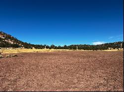 R301672 Box S Ranch Road, Ramah NM 87321