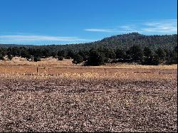 R301672 Box S Ranch Road, Ramah NM 87321