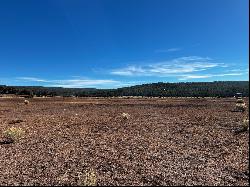 R301673 Box S Ranch Road, Ramah NM 87321