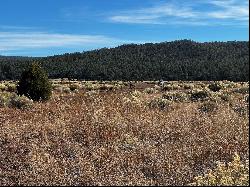 R301673 Box S Ranch Road, Ramah NM 87321