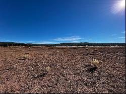 R301673 Box S Ranch Road, Ramah NM 87321