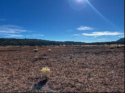 R301673 Box S Ranch Road, Ramah NM 87321