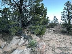 R300935 Box S Ranch Road, Ramah NM 87321