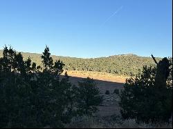 R300935 Box S Ranch Road, Ramah NM 87321