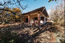 Papahagi House, a story full of charm, cultural wealth and nature