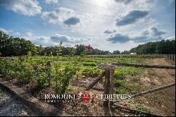 ORGANIC FARM WITH EQUESTRIAN FACILITY FOR SALE IN ORVIETO