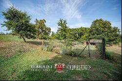 ORGANIC FARM WITH EQUESTRIAN FACILITY FOR SALE IN ORVIETO