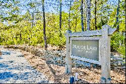 Homesite In Gated Community With No Short-Term Rentals