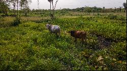 Two hectares in the emerging axis of Nueva Asunción