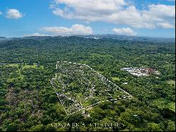 Playa Avellana's Prime Development Parcel