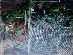 Tbd SE 34 Ter, Summerfield FL 34491