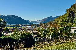 Lugano-Agno: villa for sale, prime for renovation, boasting a large plot, indoor pool & s