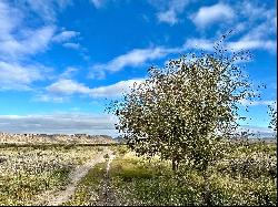 Alamito Overlook, Ranch Road 169, Marfa, TX 79843