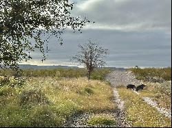 Alamito Overlook, Ranch Road 169, Marfa, TX 79843