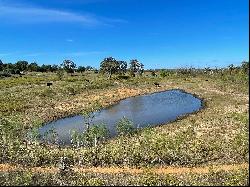 200+/- Acres Cullen Akaushi Ranch, Caldwell County, Rosansky, TX 78953