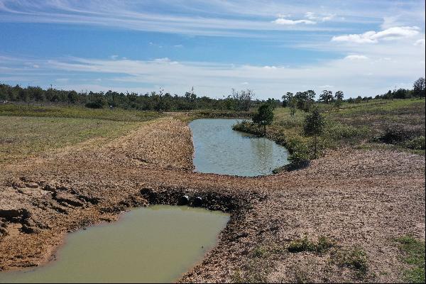 200+/- Acres Cullen Akaushi Ranch, Caldwell County, Rosansky, TX 78953