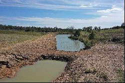 200+/- Acres Cullen Akaushi Ranch, Caldwell County, Rosansky, TX 78953