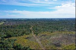 200+/- Acres Cullen Akaushi Ranch, Caldwell County, Rosansky, TX 78953