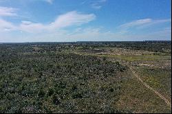 200+/- Acres Cullen Akaushi Ranch, Caldwell County, Rosansky, TX 78953