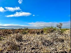 Alamito Canyon, Ranch Road 169, Marfa, TX 79843