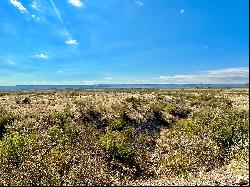 Alamito Canyon, Ranch Road 169, Marfa, TX 79843