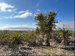 Alamito Canyon, Ranch Road 169, Marfa, TX 79843