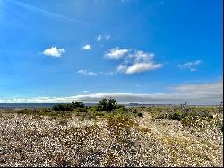 Alamito Canyon, Ranch Road 169, Marfa, TX 79843