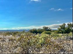 Alamito Canyon, Ranch Road 169, Marfa, TX 79843