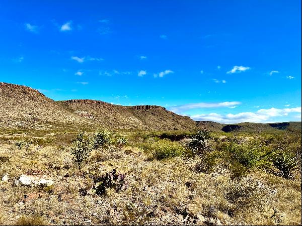 Alamito Canyon, Ranch Road 169, Marfa, TX 79843