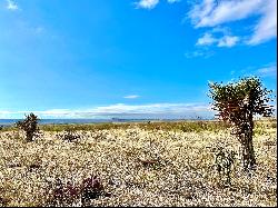 Alamito Canyon, Ranch Road 169, Marfa, TX 79843