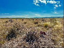 Alamito Rim, Ranch Road 169, Marfa, TX 79843