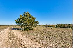 34 acres in Decatur, Texas