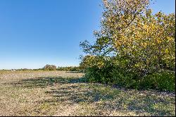 34 acres in Decatur, Texas