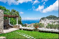 Panoramic villa with pool in the center of Capri