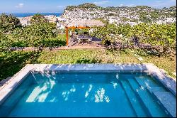 Impressive property with double pool in the center of Capri