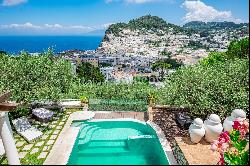 Impressive property with double pool in the center of Capri