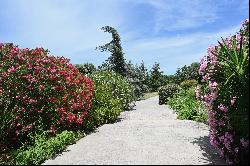 Modern AOP and ORGANIC 7 ha hobby vineyard at the gateway to Montpellier and the Mediterr