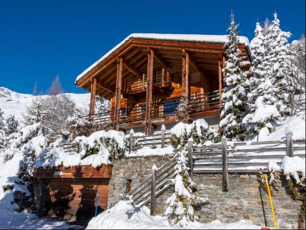 Superb chalet in a majestic setting